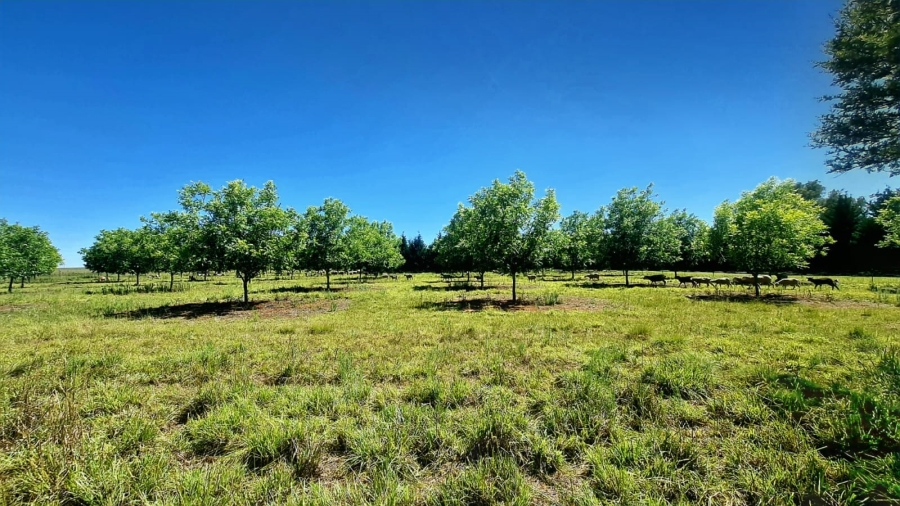 Commercial Property for Sale in Bainsvlei Free State